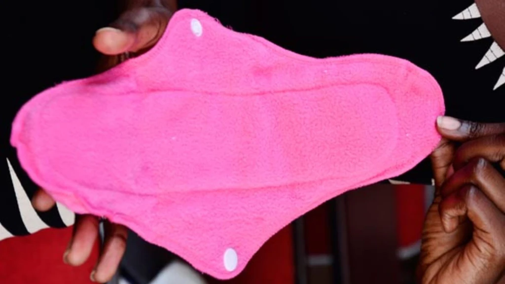 reusable sanitary pad